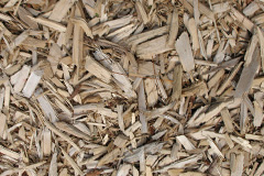 biomass boilers Cocklaw